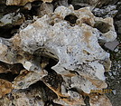 Travertin