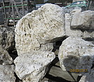 Onyx white